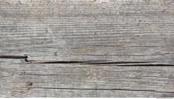 Photo Texture of Old Wood